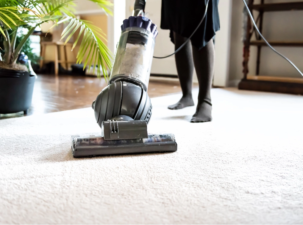 Carpet-Care | Haight Carpet & Interiors