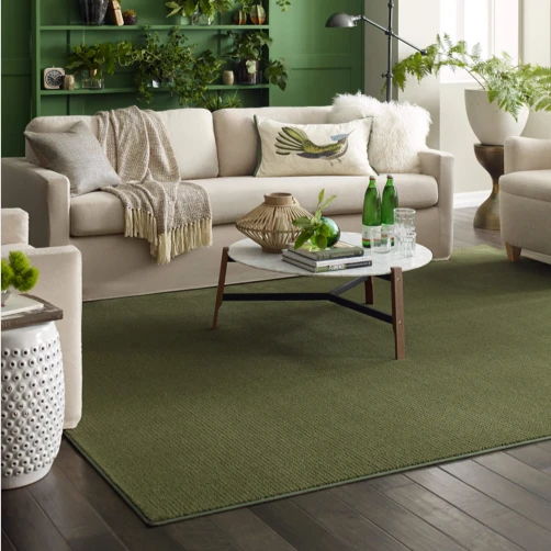 Contemporary Area Rug in Living Room | Haight Carpet & Interiors