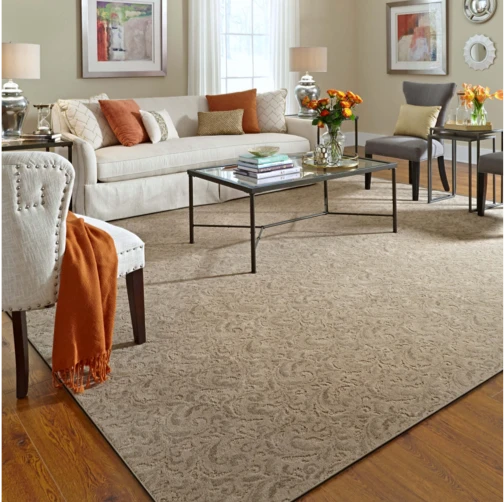 Traditional Area Rug in Living Room | Haight Carpet & Interiors
