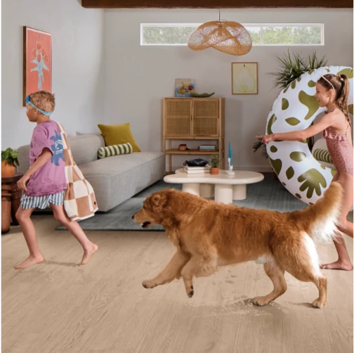 Water Resistant Laminate Flooring | Haight Carpet & Interiors